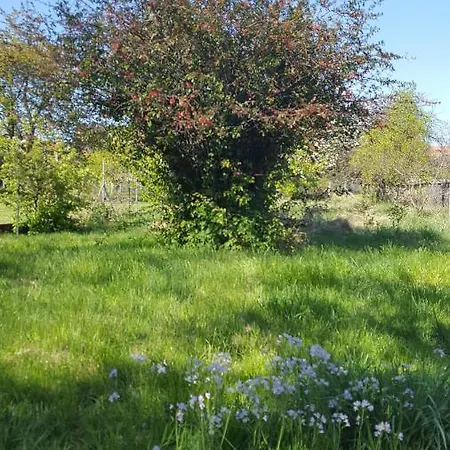 別荘 Maison A Colombage La Houblonniere *