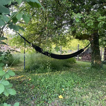 Maison A Colombage La Houblonniere Betschdorf